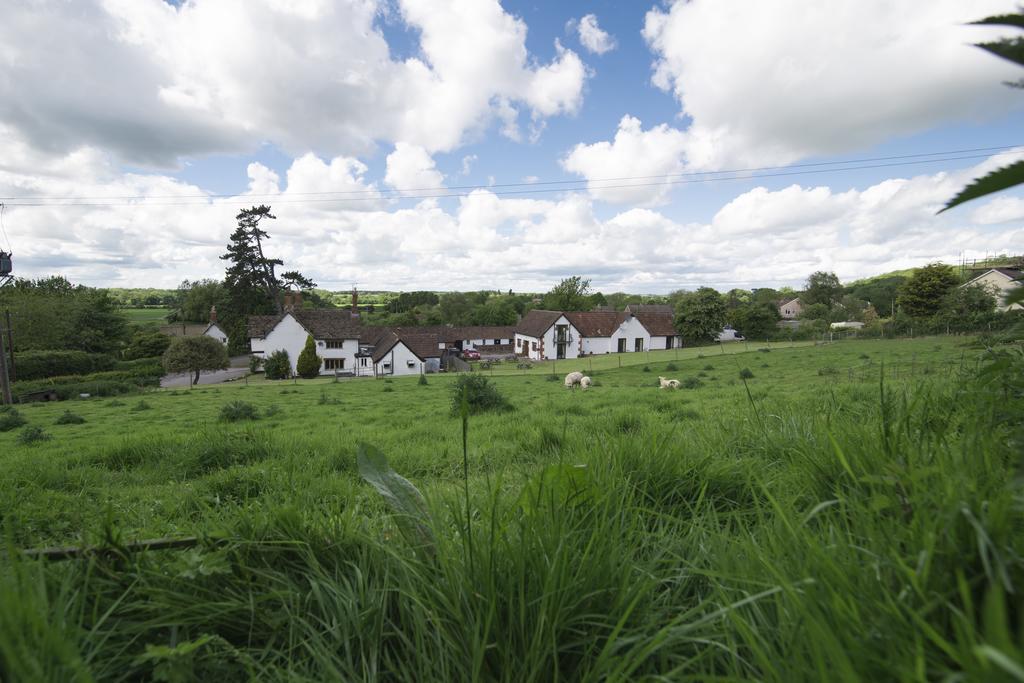 The White Horse Inn Calne Exterior photo